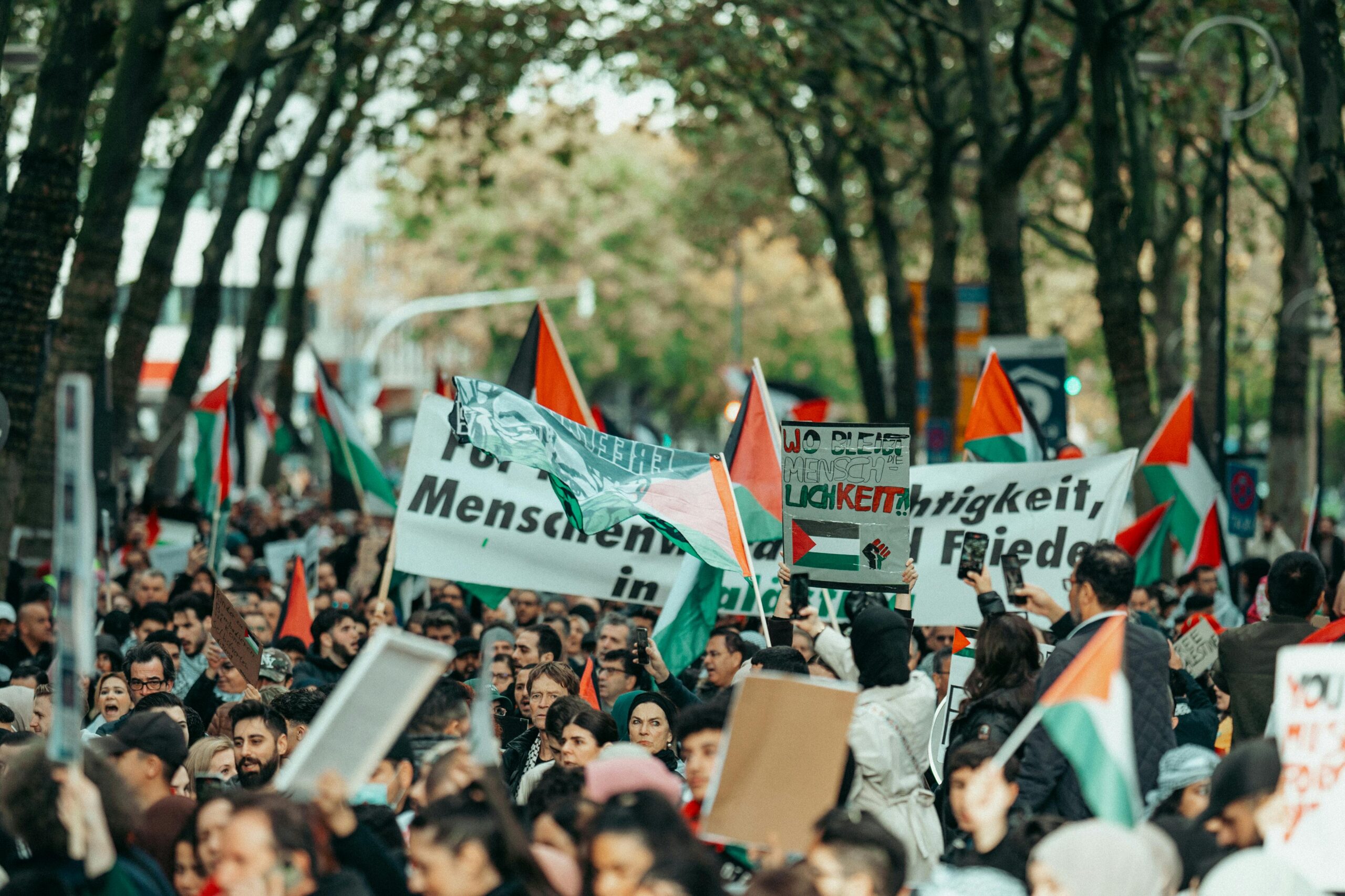 A large, diverse crowd participates in a peaceful outdoor protest, raising flags and signs.