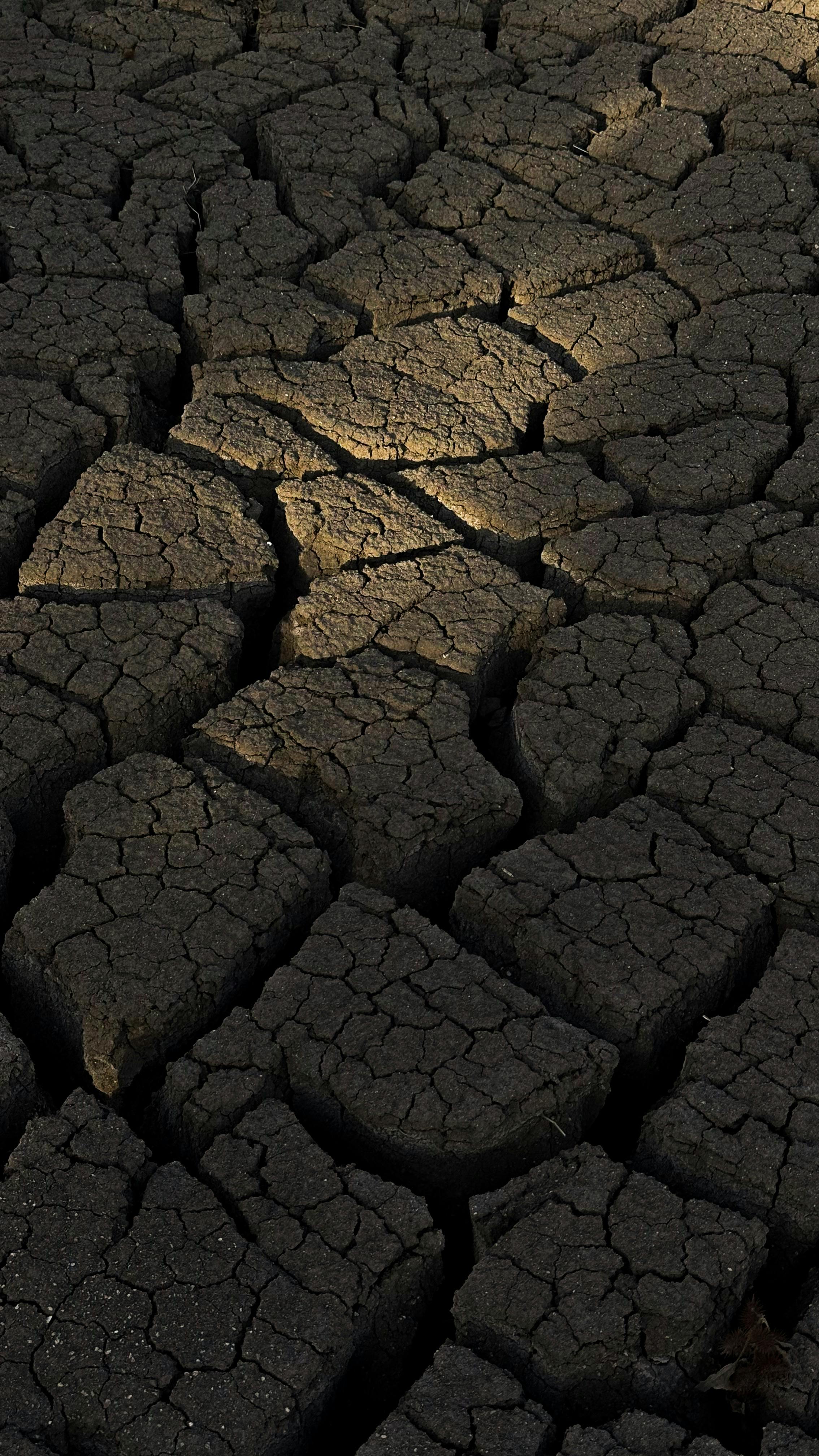 pexels photo 35281336 35281336